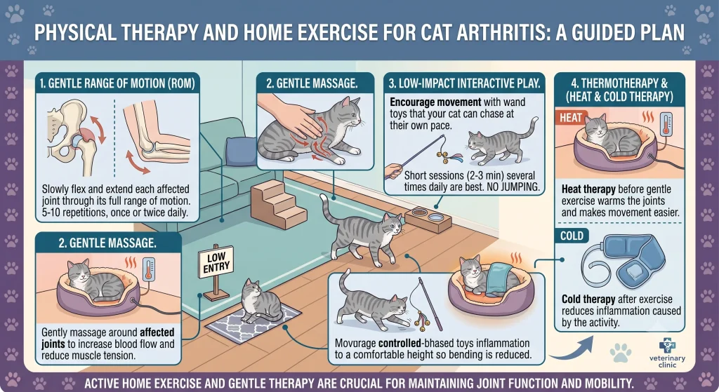 Cat Arthritis Complete Guide Symptoms Treatment Pain Relief