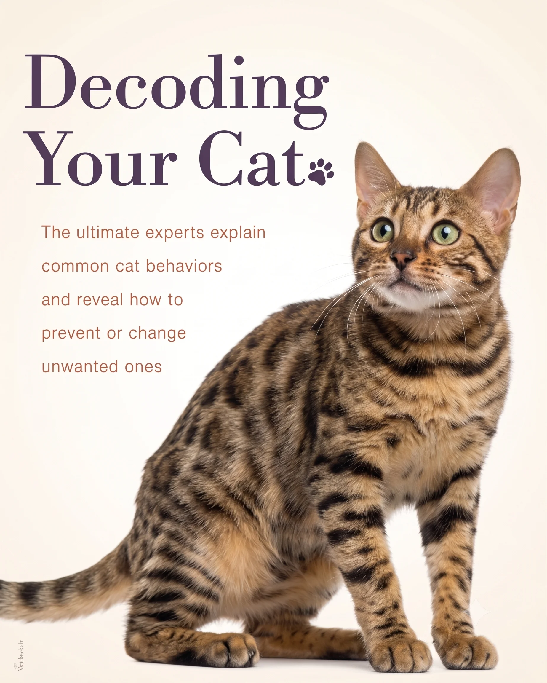 Cat Behavior Decoded cover
